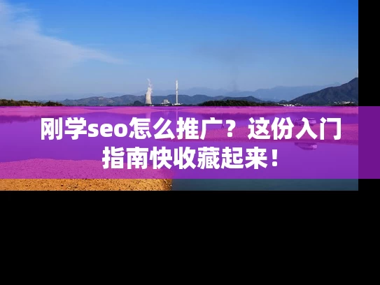 刚学seo怎么推广？这份入门指南快收藏起来！