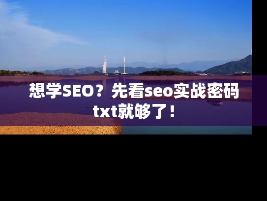 想学SEO？先看seo实战密码txt就够了！