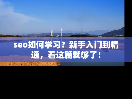 seo如何学习？新手入门到精通，看这篇就够了！