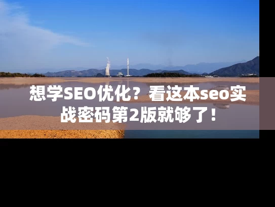 想学SEO优化？看这本seo实战密码第2版就够了！