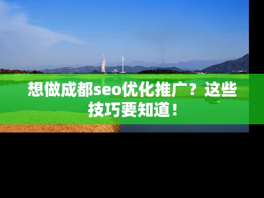 想做成都seo优化推广？这些技巧要知道！