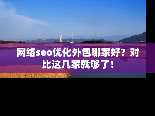网络seo优化外包哪家好？对比这几家就够了！