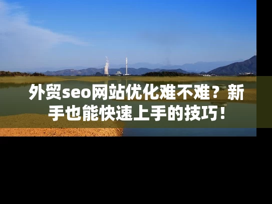 外贸seo网站优化难不难？新手也能快速上手的技巧！