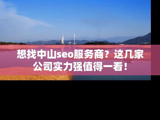 想找中山seo服务商？这几家公司实力强值得一看！