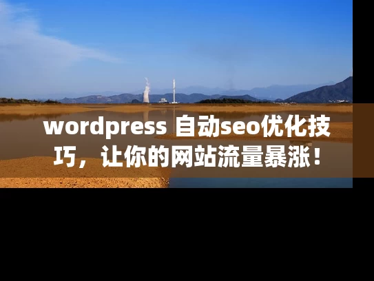 wordpress 自动seo优化技巧，让你的网站流量暴涨！