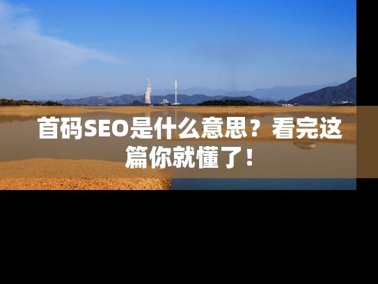 首码SEO是什么意思？看完这篇你就懂了！