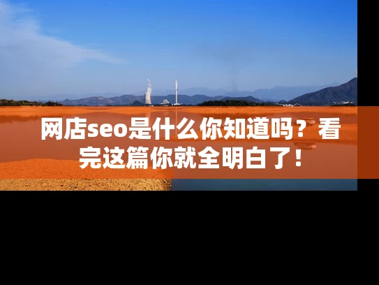 网店seo是什么你知道吗？看完这篇你就全明白了！