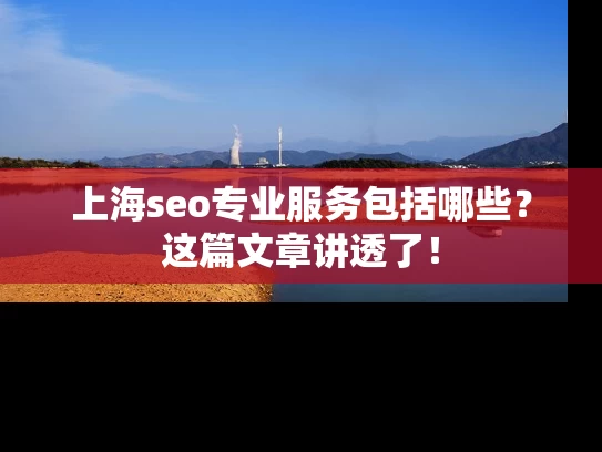 上海seo专业服务包括哪些？这篇文章讲透了！
