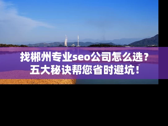 找郴州专业seo公司怎么选？五大秘诀帮您省时避坑！