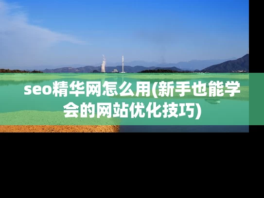 seo精华网怎么用(新手也能学会的网站优化技巧)
