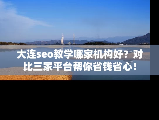 大连seo教学哪家机构好？对比三家平台帮你省钱省心！