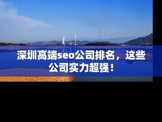 深圳高端seo公司排名，这些公司实力超强！