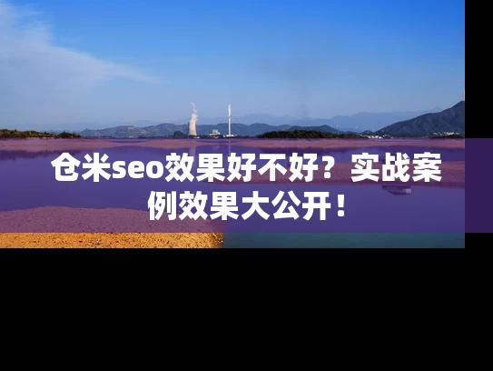 仓米seo效果好不好？实战案例效果大公开！