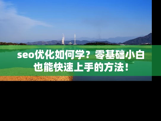 seo优化如何学？零基础小白也能快速上手的方法！