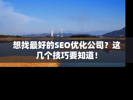想找最好的SEO优化公司？这几个技巧要知道！