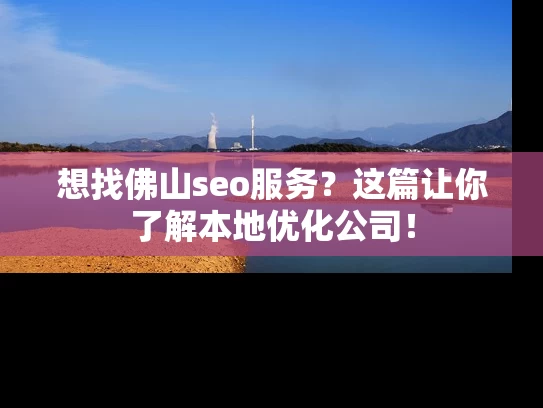 想找佛山seo服务？这篇让你了解本地优化公司！