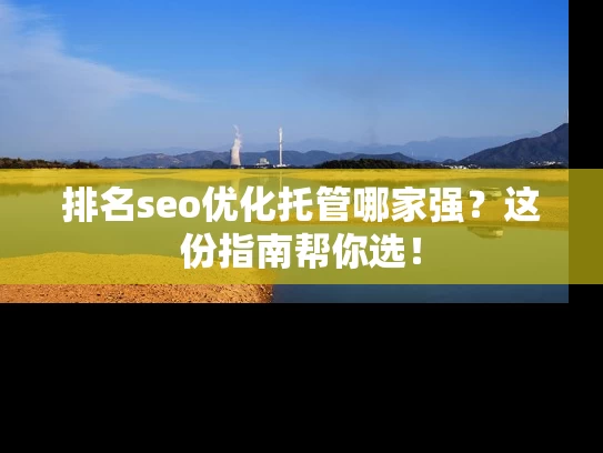 排名seo优化托管哪家强？这份指南帮你选！
