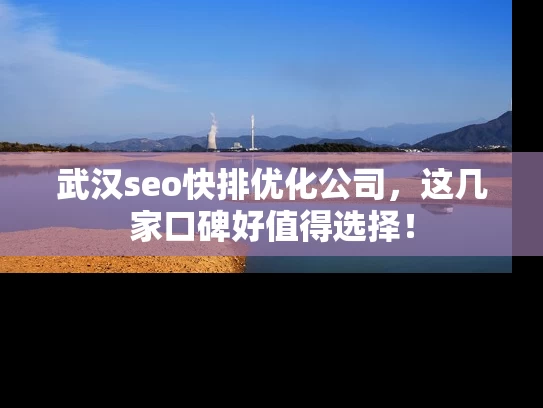 武汉seo快排优化公司，这几家口碑好值得选择！