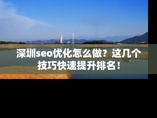 深圳seo优化怎么做？这几个技巧快速提升排名！