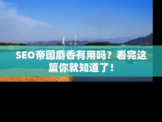 SEO帝国麝香有用吗？看完这篇你就知道了！