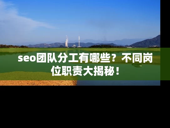 seo团队分工有哪些？不同岗位职责大揭秘！