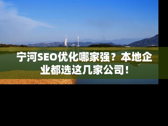 宁河SEO优化哪家强？本地企业都选这几家公司！
