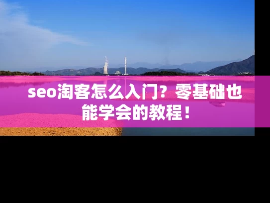 seo淘客怎么入门？零基础也能学会的教程！