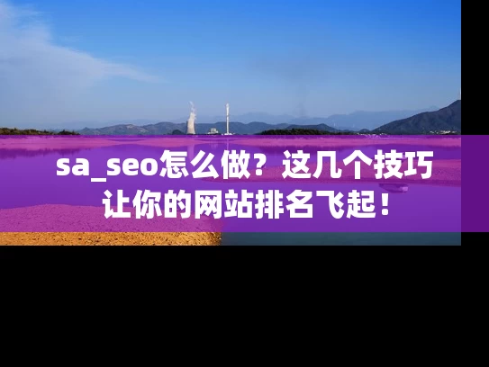 sa_seo怎么做？这几个技巧让你的网站排名飞起！