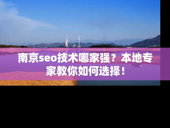 南京seo技术哪家强？本地专家教你如何选择！