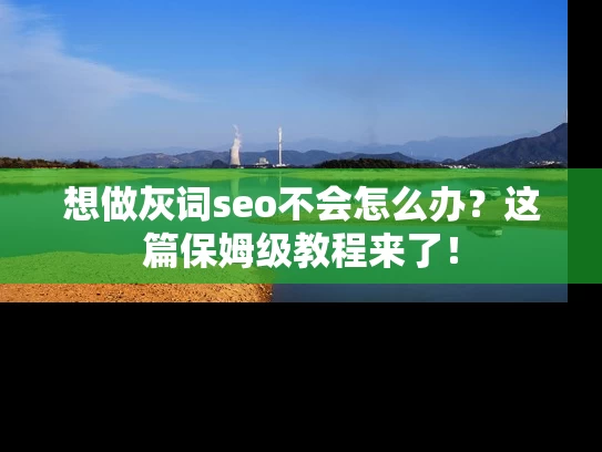 想做灰词seo不会怎么办？这篇保姆级教程来了！