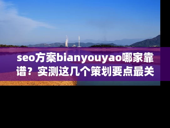 seo方案bianyouyao哪家靠谱？实测这几个策划要点最关键