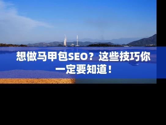 想做马甲包SEO？这些技巧你一定要知道！