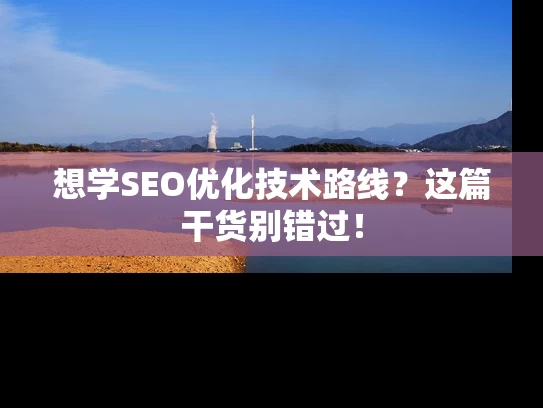 想学SEO优化技术路线？这篇干货别错过！