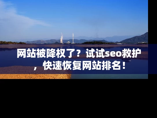 网站被降权了？试试seo救护，快速恢复网站排名！