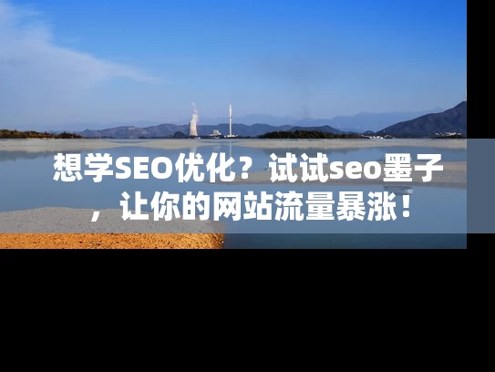想学SEO优化？试试seo墨子，让你的网站流量暴涨！