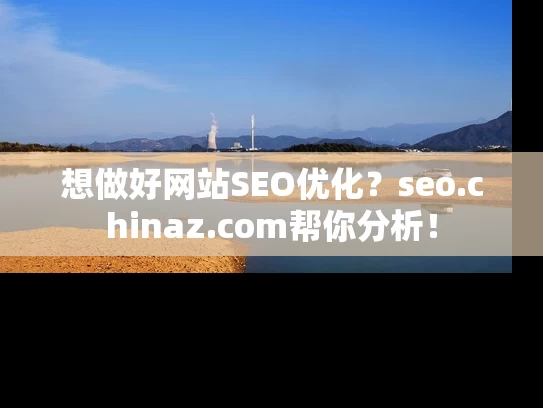 想做好网站SEO优化？seo.chinaz.com帮你分析！