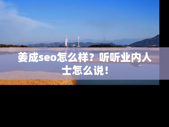 姜成seo怎么样？听听业内人士怎么说！
