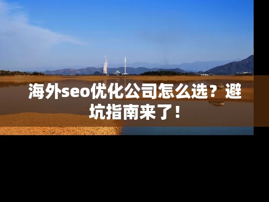 海外seo优化公司怎么选？避坑指南来了！