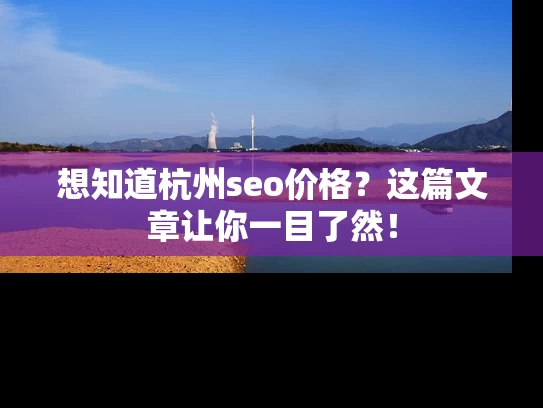 想知道杭州seo价格？这篇文章让你一目了然！