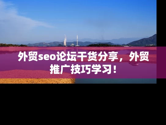 外贸seo论坛干货分享，外贸推广技巧学习！