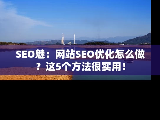 SEO魅：网站SEO优化怎么做？这5个方法很实用！
