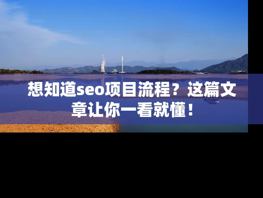 想知道seo项目流程？这篇文章让你一看就懂！