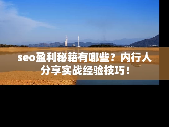 seo盈利秘籍有哪些？内行人分享实战经验技巧！
