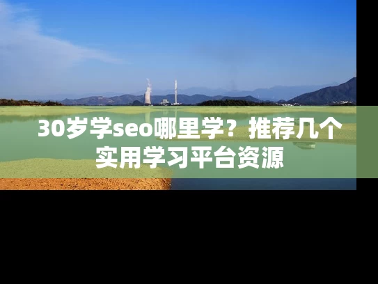 30岁学seo哪里学？推荐几个实用学习平台资源