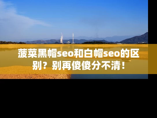 菠菜黑帽seo和白帽seo的区别？别再傻傻分不清！