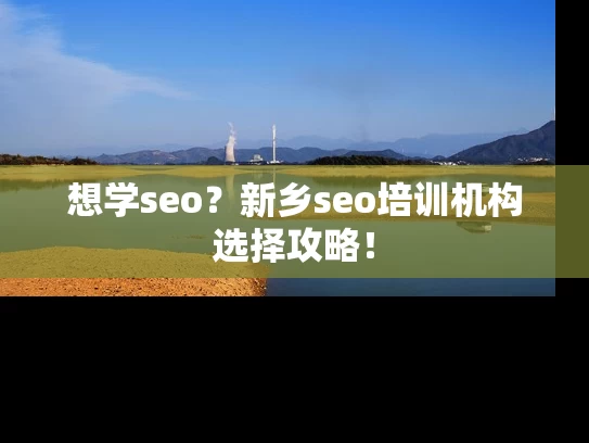 想学seo？新乡seo培训机构选择攻略！