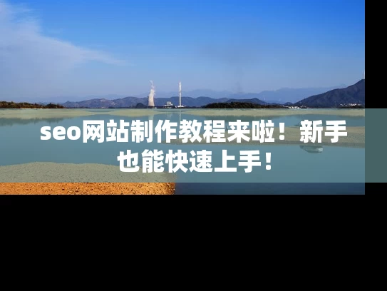 seo网站制作教程来啦！新手也能快速上手！