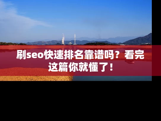 刷seo快速排名靠谱吗？看完这篇你就懂了！