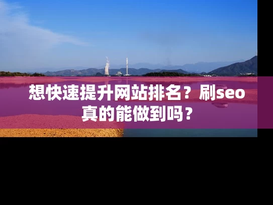 想快速提升网站排名？刷seo真的能做到吗？