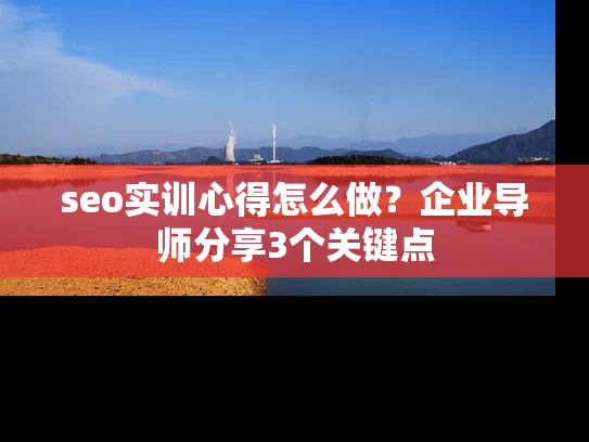 seo实训心得怎么做？企业导师分享3个关键点